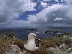 Melihat Pemukiman Manusia Paling Terpencil di Bumi