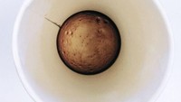 Habiskan kopinya, netizen ini menemukan bagian dasar gelas kartonnya memiliki tampilan yang mirip seperti bulan. Warna cokelat kehitaman, di dapat dari warna kopi yang ada di sana. Foto: Istimewa