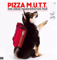 Pickle Burger hingga Anjing Pengantar Pizza, Ini 5 Lelucon April Mop Versi Restoran