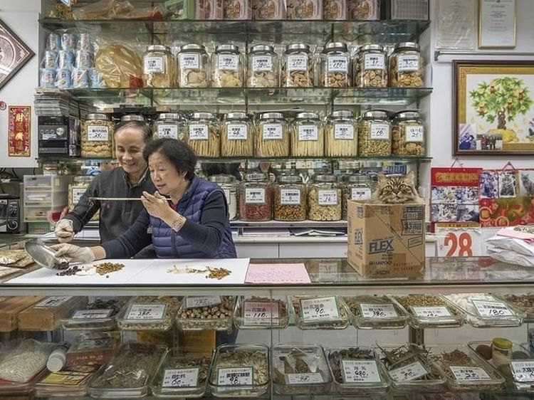 Bikin Gemas! Pose Kucing Saat Berjualan di Pasar Hingga Memeluk Ikan