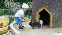 Pengunjung juga bisa berinteraksi dengan satwa di sini. (Uje Hartono/detikcom)