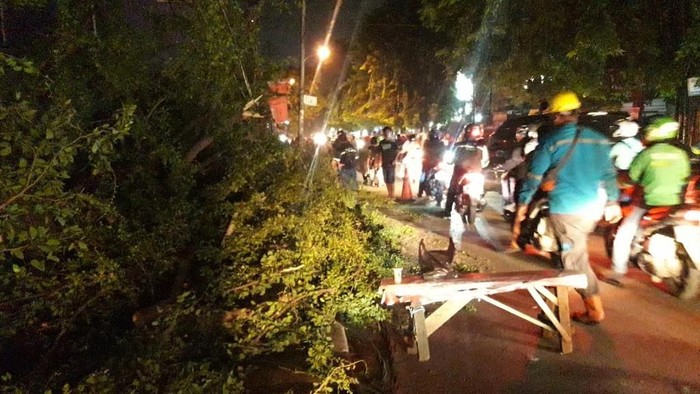 Ada Pohon Tumbang, Lalin di Jalan Juanda Bekasi Macet