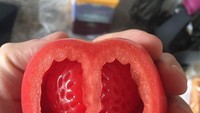 Siapa sangka, di dalam tomat yang sempurna ini. Ternyata memiliki bagian dalam yang mirip seperti buah strawberry. Kira-kira rasanya bagaimana ya? Foto: Istimewa