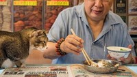 Foto yang diambil oleh fotografer terkenal asal Hong Kong ini memperlihatkan si kucing yang sedang menemani pedagang di Pasar sedang makan. Foto: Istimewa