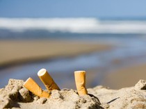 WN Singapura Didenda Rp 5 Juta di Malaysia gegara Puntung Rokok