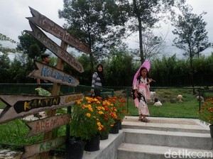 Wonoland, Taman Bunga Cantik dari Wonosobo