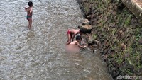 Mereka juga terlihat mencari ikan di tepian sungai.