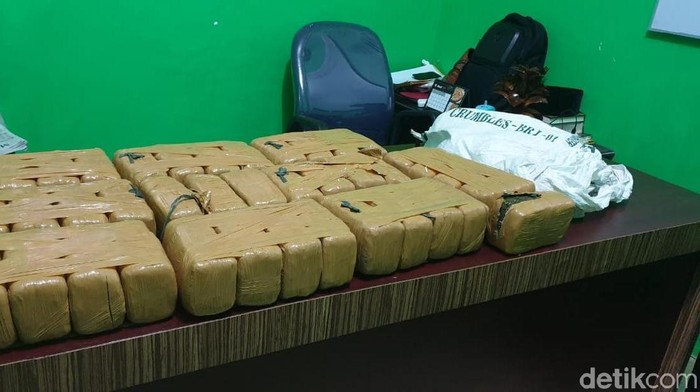 Sepasang Kekasih Ketangkap Bawa Ganja 40 Kg di Riau