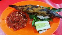 Kalau mau makan pecel lele dengan sambal ala Jawa Timuran, bisa datang ke warung Pecel Lele Madiun, di Gunung Sahari, Jakarta Pusat. Ciri khasnya terletak pada sambal pedas gurih berwarna merah, dengan lele renyah yang gurih. Foto: Istimewa