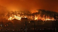 Otoritas setempat menduga kebakaran berasal dari percikan api di sebuah trafo di sebuah resor di kota Goseong, Provinsi Gangwon, sekitar 210 km timur laut Seoul. Api kemudian menyebar ke pegunungan dan kawasan hutan di dekatnya. Foto: Yonhap via REUTERS