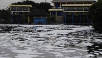 Sebelumnya pada 24 Maret 2019 ditemukan puluhan ikan mati di  depan Pintu Air Flushing Kali Ancol.