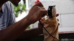 Keren dan Cantik, Barang Ini dari Limbah Plastik Lho...
