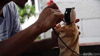 Proses pembuatan boneka ondel-ondel.