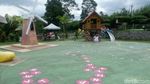 Foto: Seperti Ini Taman Bunga Instagramble di Wonosobo