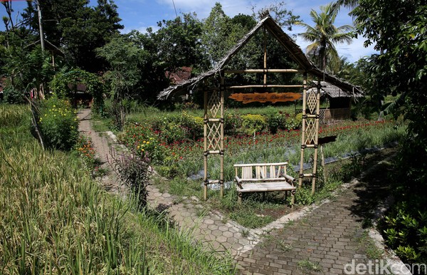 Memasuki gerbang desa, kita sudah disambut oleh atmosfir desa yang masih terjaga. Di kiri kanan jalan banyak kita jumpai kedai-kedai kopi yang menyajikan kopi khas Kemiren, Kopi Osing. (Rachman Haryanto/detikcom) Memasuki gerbang desa, kita sudah disambut oleh atmosfir desa yang masih terjaga. Di kiri kanan jalan banyak kita jumpai kedai-kedai kopi yang menyajikan kopi khas Kemiren, Kopi Osing. (Rachman Haryanto/detikcom)