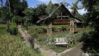 Memasuki gerbang desa, kita sudah disambut oleh atmosfir desa yang masih terjaga. Di kiri kanan jalan banyak kita jumpai kedai-kedai kopi yang menyajikan kopi khas Kemiren, Kopi Osing. (Rachman Haryanto/detikcom)