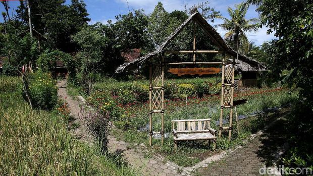 Desa Wisata Osing Kemiren