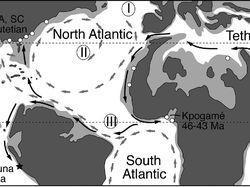 Penampakan Nenek Moyang Paus, Berkaki Empat dan Bisa Jalan