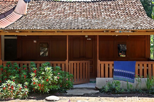 Banyak juga rumah penduduk yang berfungsi sebagai guest house yang bisa disewa dengan harga terjangkau apabila ingin bermalam. Sebuah hotel berbintang juga sudah mulai berdiri tepat di samping obyek wisata Osing. (Rachman Haryanto/detikcom) Banyak juga rumah penduduk yang berfungsi sebagai guest house yang bisa disewa dengan harga terjangkau apabila ingin bermalam. Sebuah hotel berbintang juga sudah mulai berdiri tepat di samping obyek wisata Osing. (Rachman Haryanto/detikcom)