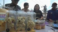 Budidaya Edelweis Pertama di Indonesia Ada di Bromo