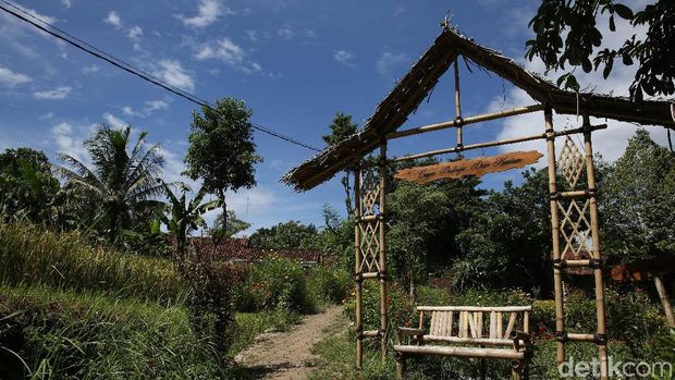 Desa Wisata Osing Kemiren
