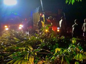 Longsor dan Pohon Tumbang di Perbatasan Bandung-Garut, Lalin Terganggu