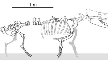 Panjang badannya sendiri sekitar 4 meter. Foto: Current Biology