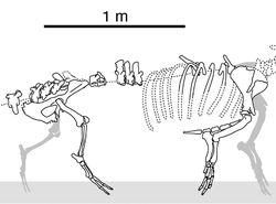 Penampakan Nenek Moyang Paus, Berkaki Empat dan Bisa Jalan