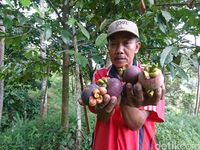 (Adhar Muttaqin/detikcom)