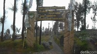Taman Edelweis di Wonokitri mulai dikembangkan tahun 2017, sebagai edukasi bagi masyarakat dan wisatawan (Muhajir Arifin/detikcom)