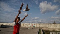 Selain sepak bola, ada juga yang bermain burung dara di kawasan tersebut.