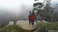 Taman Edelweiss ini dapat menjadi spot baru di Bromo. Di Taman Budidaya Edelweiss Wonokitri, wisatawan bisa menikmati keindahan bunga-bunga abadi ini dengan leluasa (Muhajir Arifin/detikcom)