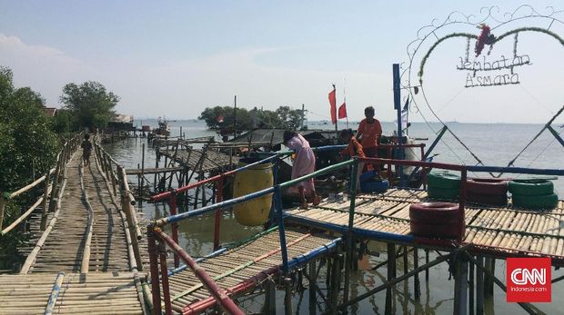  Bergulat Menuju Ekowisata Mangrove di Utara Bekasi