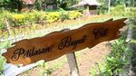 Foto: Cantiknya Desa Wisata Osing Kemiren di Banyuwangi
