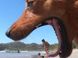 Kumpulan Foto Unik Bikin Mata Harus Jeli Melihatnya