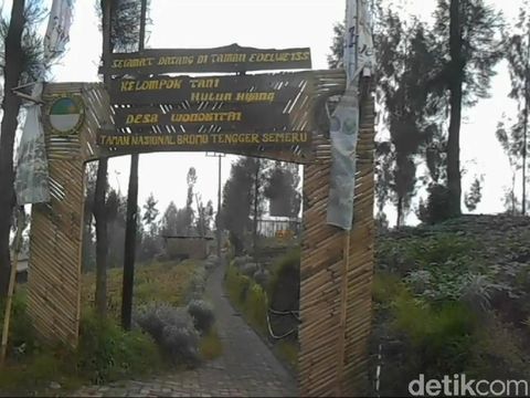 Taman Edelweiss Pasuruan/