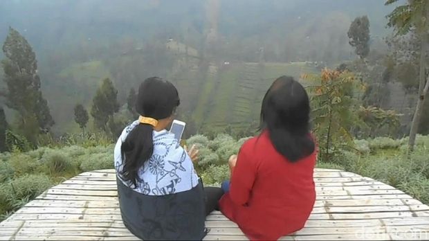 Wisatawan Gunung Bromo kini bisa berkunjung ke Taman Edelweis di Desa Wonokitri, Kecamatan Tosari, Kabupaten Pasuruan. Taman tersebut bisa menjadi destinasi lain selain Puncak Penanjakan atau Bukit Teletubbies di Bromo.