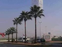 Kumpulan Foto Unik Bikin Mata Harus Jeli Melihatnya