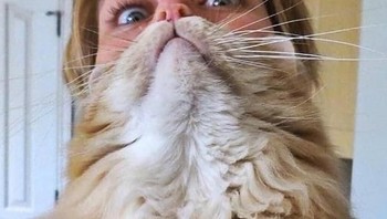 Mungkin begini jadinya perpaduan wajah manusia dengan kucing. (Foto: Brightside)