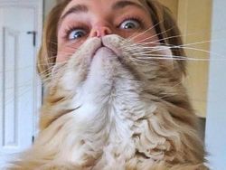 Kumpulan Foto Unik Bikin Mata Harus Jeli Melihatnya