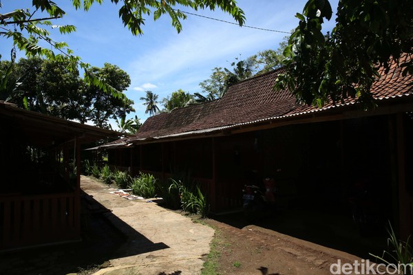 Asal mula kata Desa Kemiren, wilayah Suku Osing berada menurut sesepuh desa, dahulu saat pertama kali ditemukan berupa hutan. Nah di situ terdapat dominasi pohon kemiri dan duren (durian) sehingga mulai saat itu dinamakan Desa Kemiren (Rachman Haryanto/detikcom) Asal mula kata Desa Kemiren, wilayah Suku Osing berada menurut sesepuh desa, dahulu saat pertama kali ditemukan berupa hutan. Nah di situ terdapat dominasi pohon kemiri dan duren (durian) sehingga mulai saat itu dinamakan Desa Kemiren (Rachman Haryanto/detikcom)