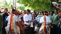 Dalam orasinya itu, Jokowi juga mengingatkan sewaktu pemilihan presiden 2014, ia yang berpasangan dengan Jusuf Kalla mendapat 66 persen. Pool/TKN Jokowi-Maruf.