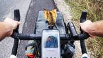 Foto Viral di Instagram, Turis Keliling Dunia dengan Kucing