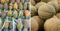Banting Stir Jadi Petani Buah, Sarjana Keuangan Ini Jadi Miliader