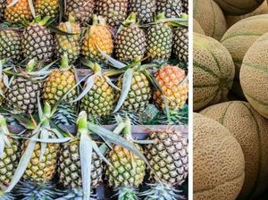 Banting Stir Jadi Petani Buah, Sarjana Keuangan Ini Jadi Miliader
