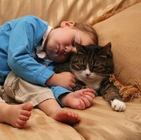 Kucing bisa menjadi hewan yang membantu kamu menurunkan stres. Penelitian mengungkapkan, tingkat stres dan tekanan darah menurun pada orang yang suka memeluk kucing. Foto: Dok. Boredpanda