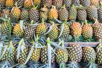 Banting Stir Jadi Petani Buah, Sarjana Keuangan Ini Jadi Miliader