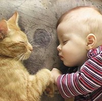 Foto kucing yang tidur dengan bayi di sebelahnya ini sungguh menghangatkan hati. Foto: Dok. Boredpanda