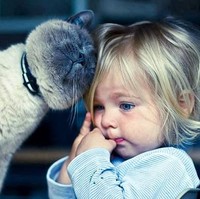 Berdasarkan studi yang dilakukan Denise Guastello terhadap 600 mahasiswa di sejumlah universitas di Amerika Serikat, orang yang menyukai kucing punya perasaan yang lebih sensitif tapi juga berpikiran terbuka. Foto: Dok. Boredpanda