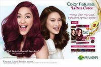 Model Terbaru 18 Warna Rambut  Bleaching  Decoloring